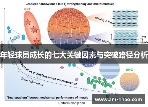 年轻球员成长的七大关键因素与突破路径分析