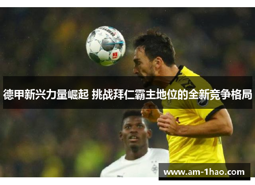 德甲新兴力量崛起 挑战拜仁霸主地位的全新竞争格局