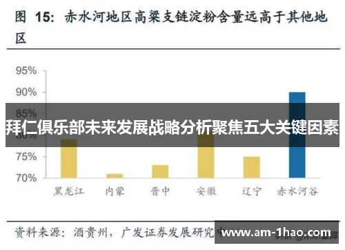 拜仁俱乐部未来发展战略分析聚焦五大关键因素