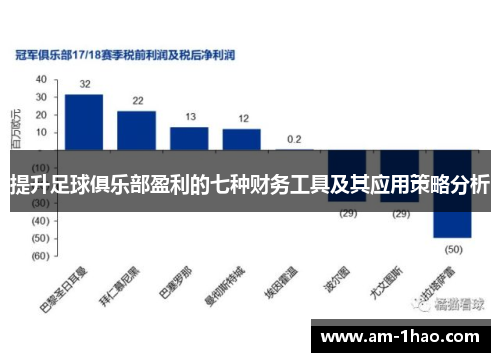 提升足球俱乐部盈利的七种财务工具及其应用策略分析 提升足球俱乐部盈利的七种财务工具及其应用策略分析