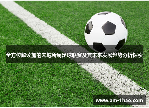 全方位解读加的夫城所属足球联赛及其未来发展趋势分析探索