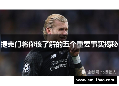 捷克门将你该了解的五个重要事实揭秘