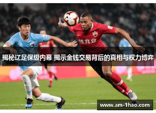 揭秘辽足保级内幕 揭示金钱交易背后的真相与权力博弈