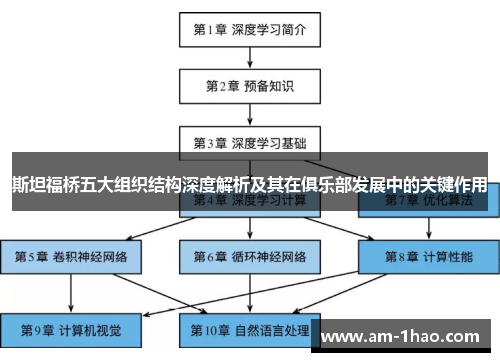 斯坦福桥五大组织结构深度解析及其在俱乐部发展中的关键作用 斯坦福桥五大组织结构深度解析及其在俱乐部发展中的关键作用