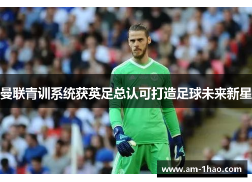 曼联青训系统获英足总认可打造足球未来新星